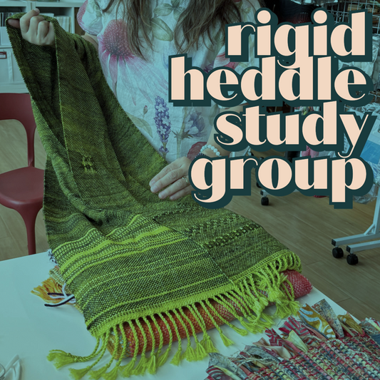 Rigid Heddle Loom Weaving Study Group 2025