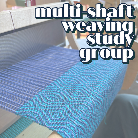 Multi-Shaft Weaving Study Group 2025