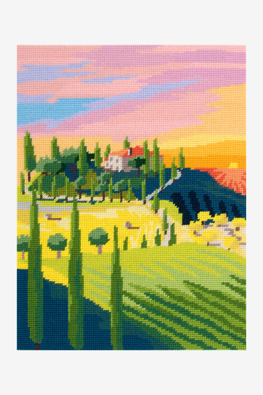 DMC Tuscany Tapestry Printed Kit